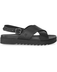 black ferragamo flip flops
